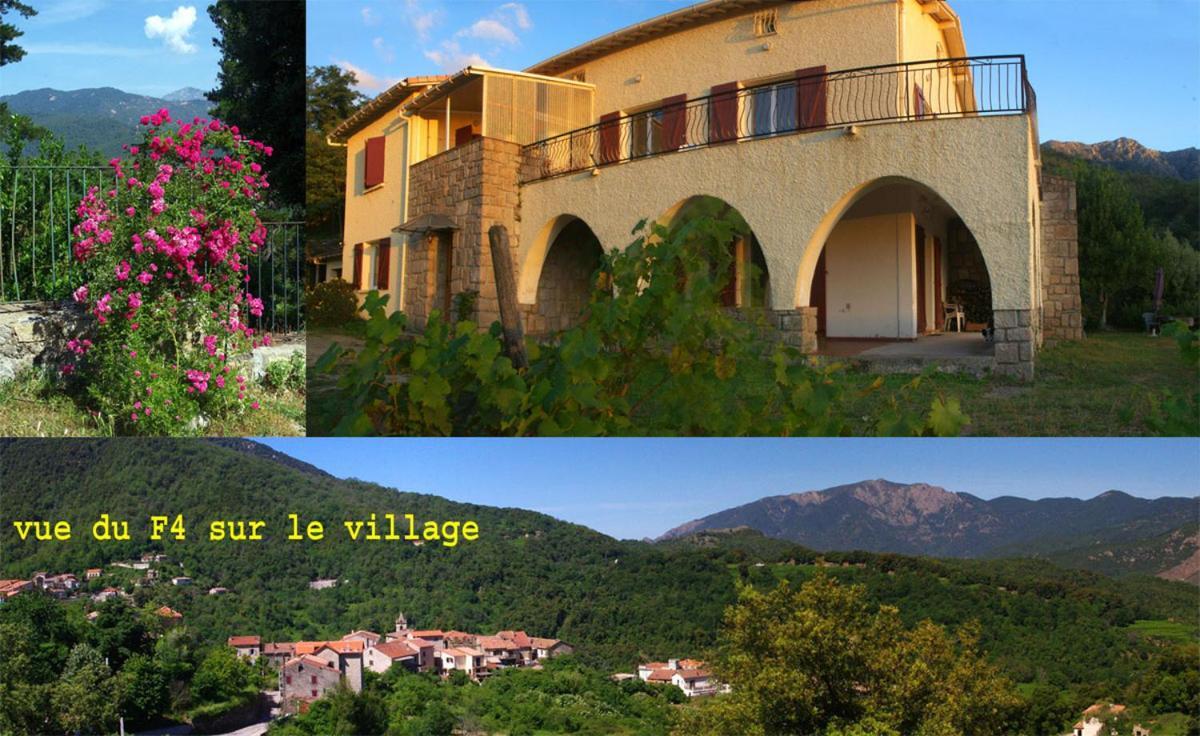95m2 au calme à 25mn AJACCIO, plages, linge inclus Ucciani Extérieur photo