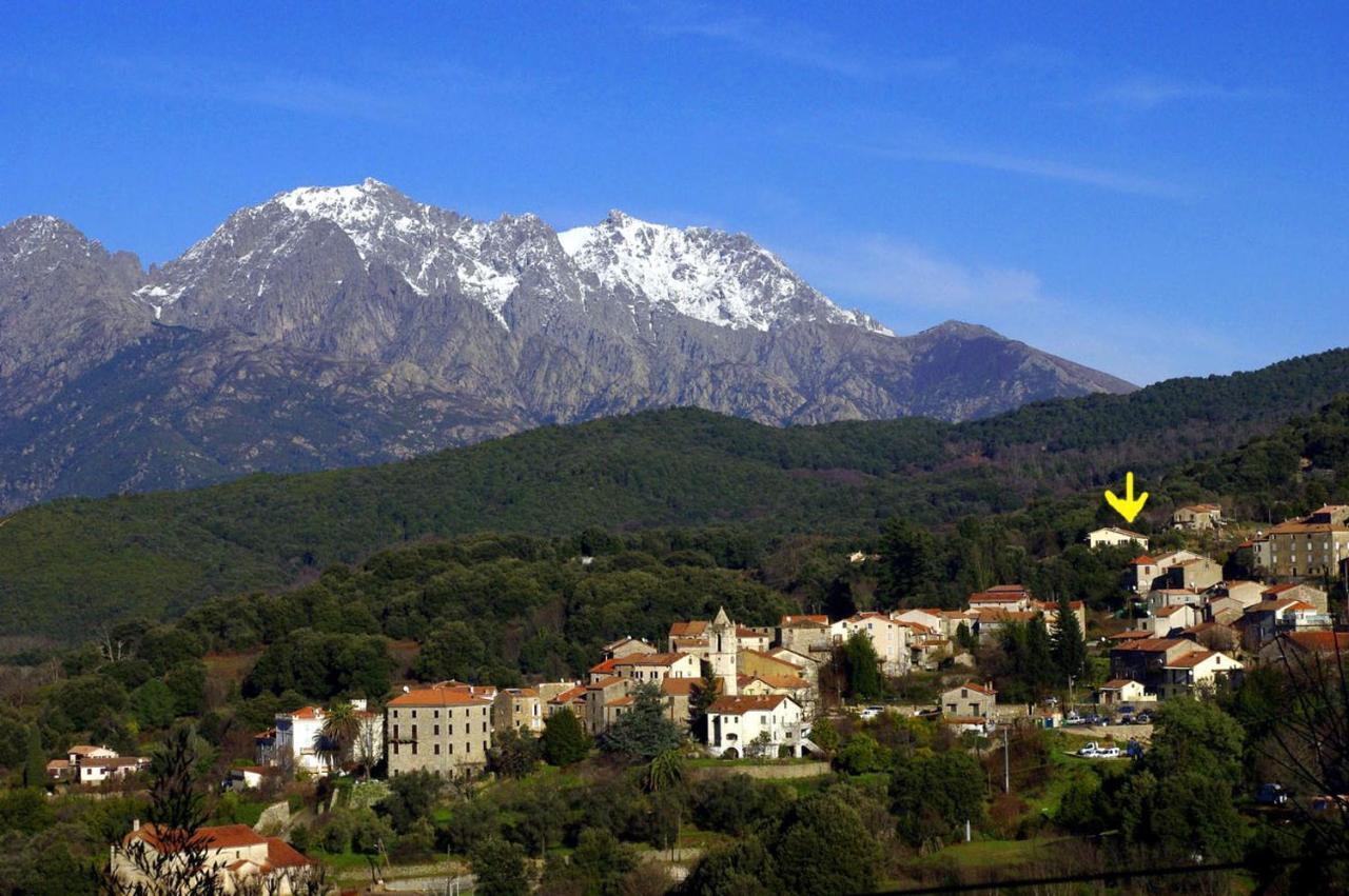 95m2 au calme à 25mn AJACCIO, plages, linge inclus Ucciani Extérieur photo