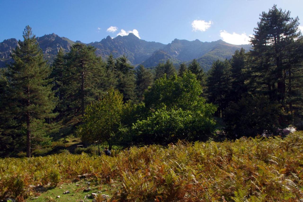 95m2 au calme à 25mn AJACCIO, plages, linge inclus Ucciani Extérieur photo